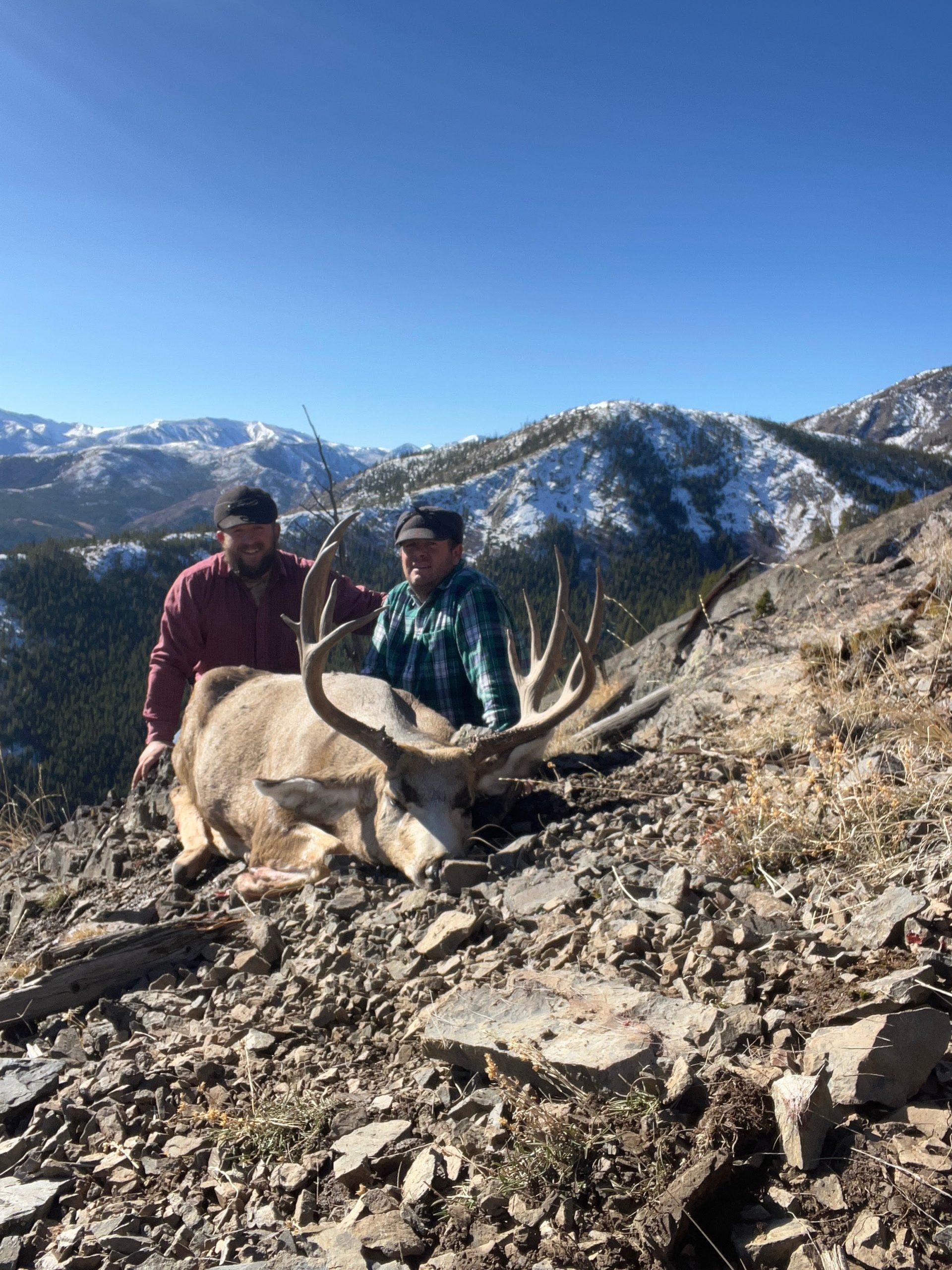 Cody Every - Elk 2025