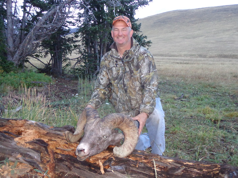 Bart Burningham - BigHorn Sheep 2015