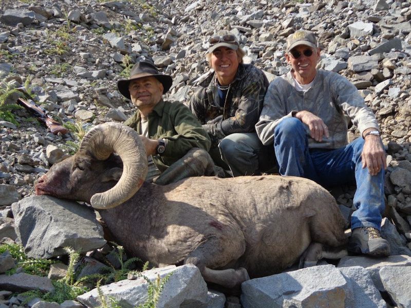 Bob Davis - BigHorn Sheep 2012
