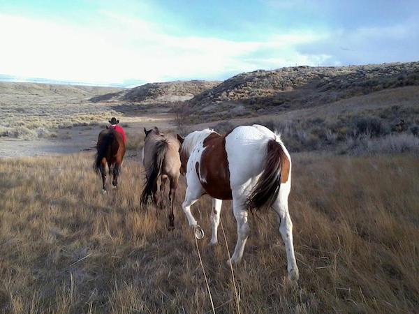 Horseback riding at the ranch