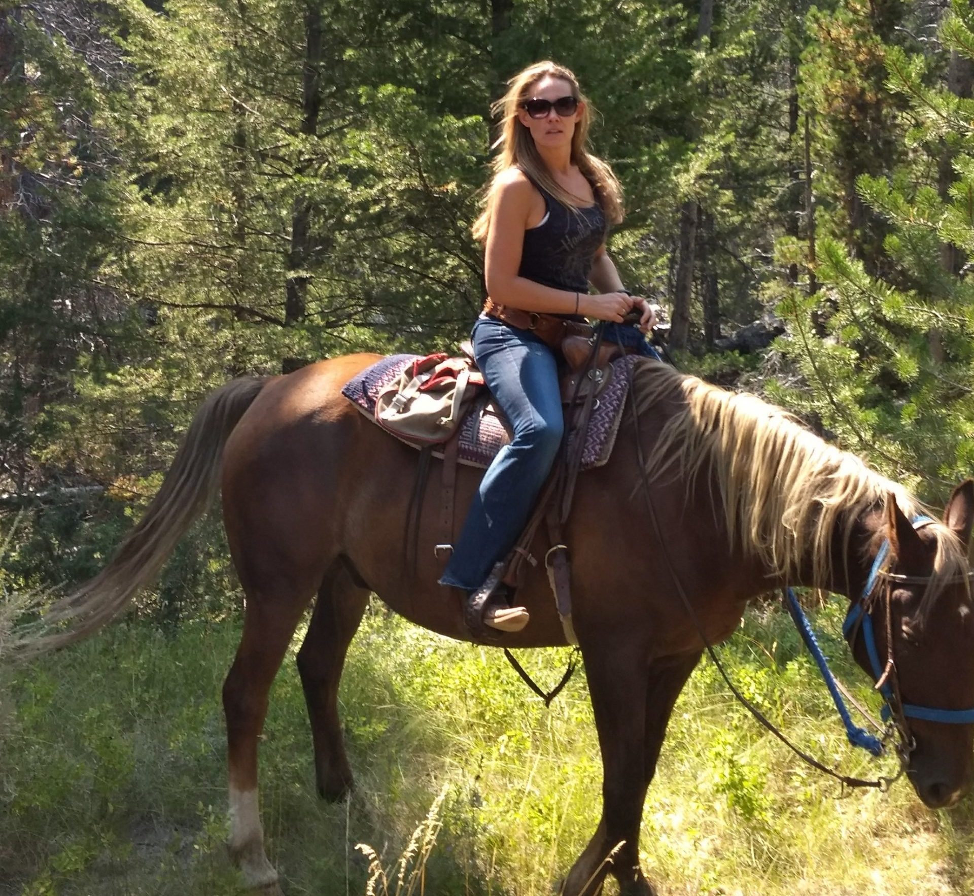 Horseback trail ride