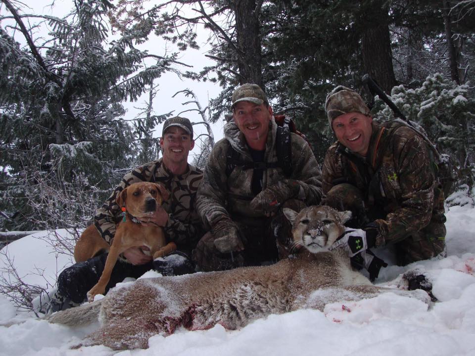 Mark Rentschler - Lion 2016