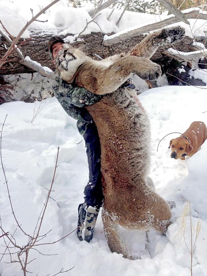 Scott Kincheloe - Lion 2016